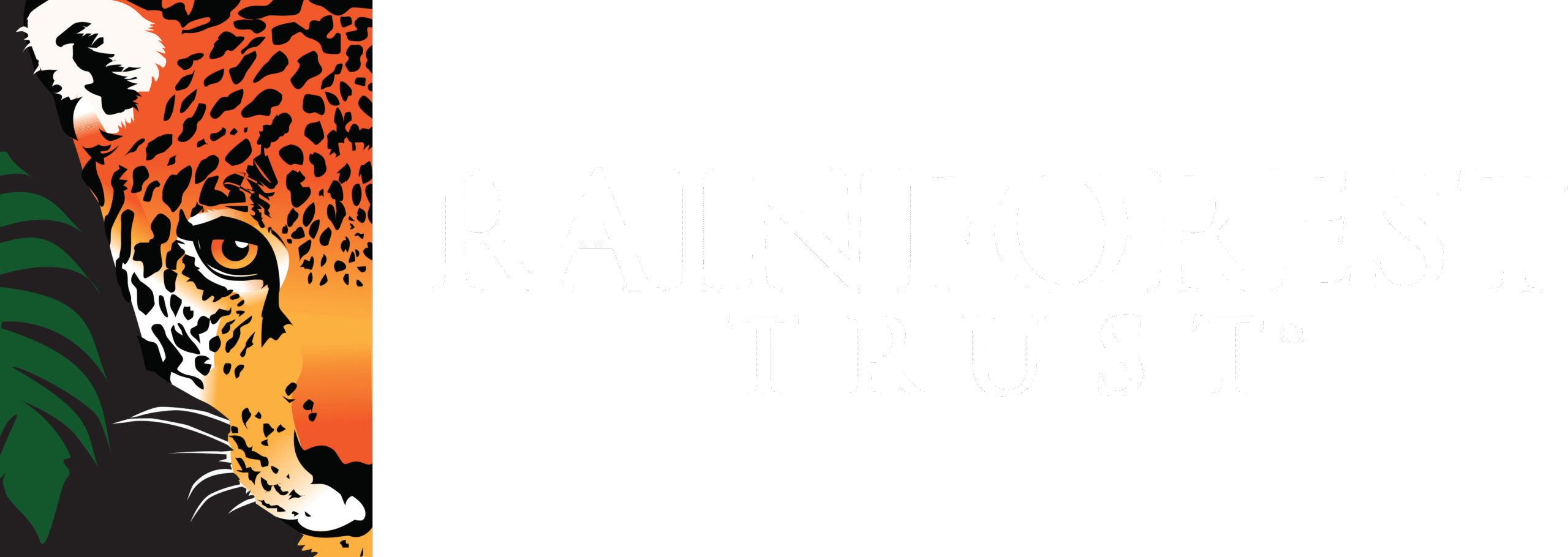 RT horizontal logo-white